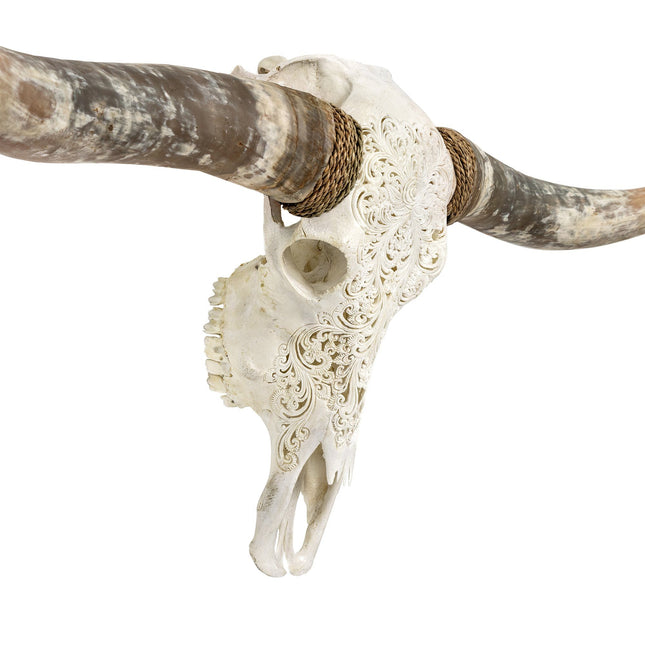 Hand Carved Longhorn Skull - White Predator