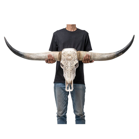 Hand Carved Longhorn Skull - White Sun