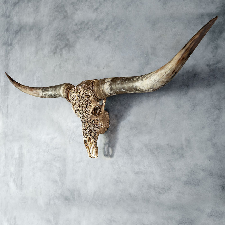 Longhorn Skulls for Sale | Longhorn Cow Skull Decor | Skull Bliss