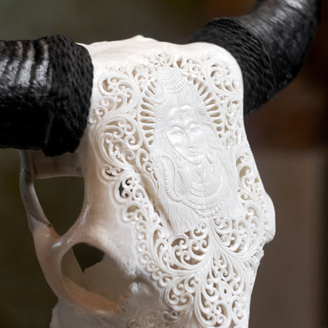 Hand Carved Cow Skull - White Shiva
