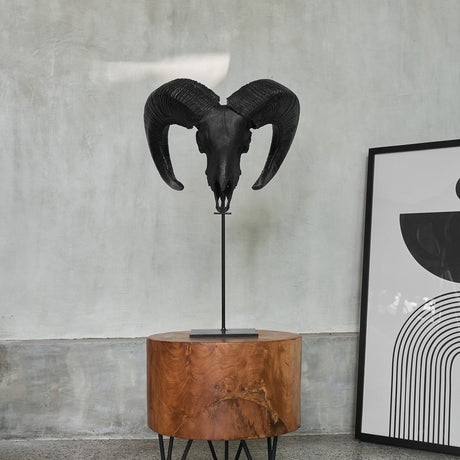 Ram Skull - Matte Black Storm