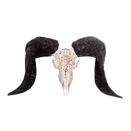Hand Carved Ram Skull - White Celtic