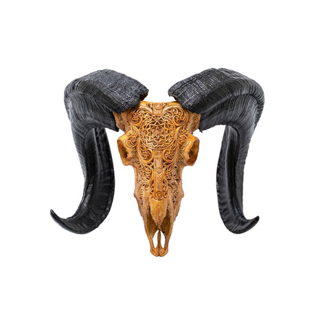 Hand Carved Ram Skull - Antique Sun