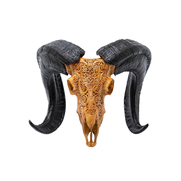 Hand Carved Ram Skull - Antique Sun – Skull Bliss