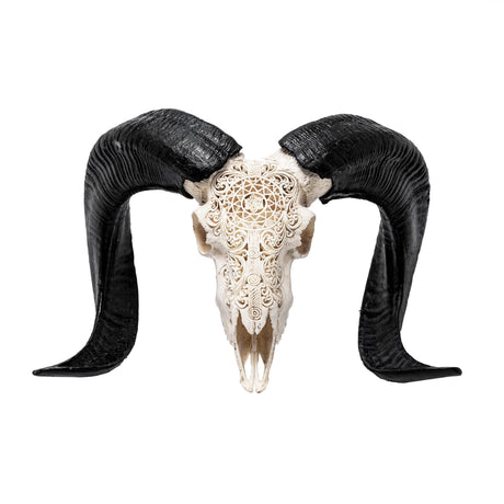 Hand Carved Ram Skull - White Sun
