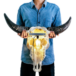 Buffalo Skulls - Metal Mount + Lamp