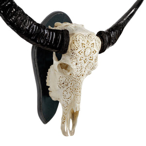 Buffalo Skulls - Wood Wall Mount