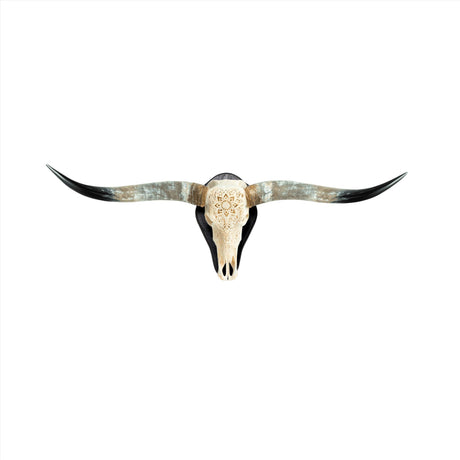 Longhorn Skulls - Wood Wall Mount