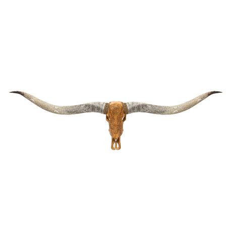 Hand Carved Longhorn Skull // XL Horns - Antique Sun