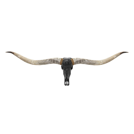 Hand Carved Longhorn Skull // XL Horns - Black Sun