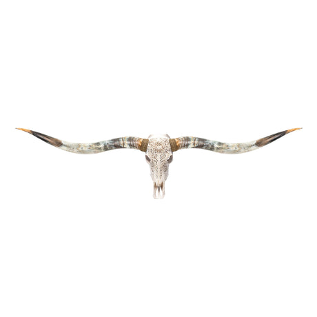 Hand Carved Longhorn Skull // XL Horns - White Sun