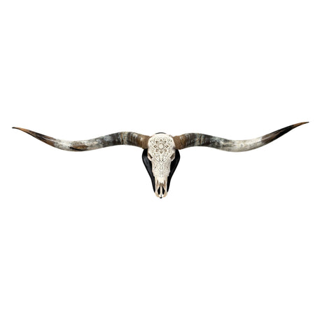 XL Longhorn Skulls - Wood Wall Mount