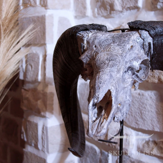 Hand Carved Ram Skull - Gray Norseman – Skull Bliss